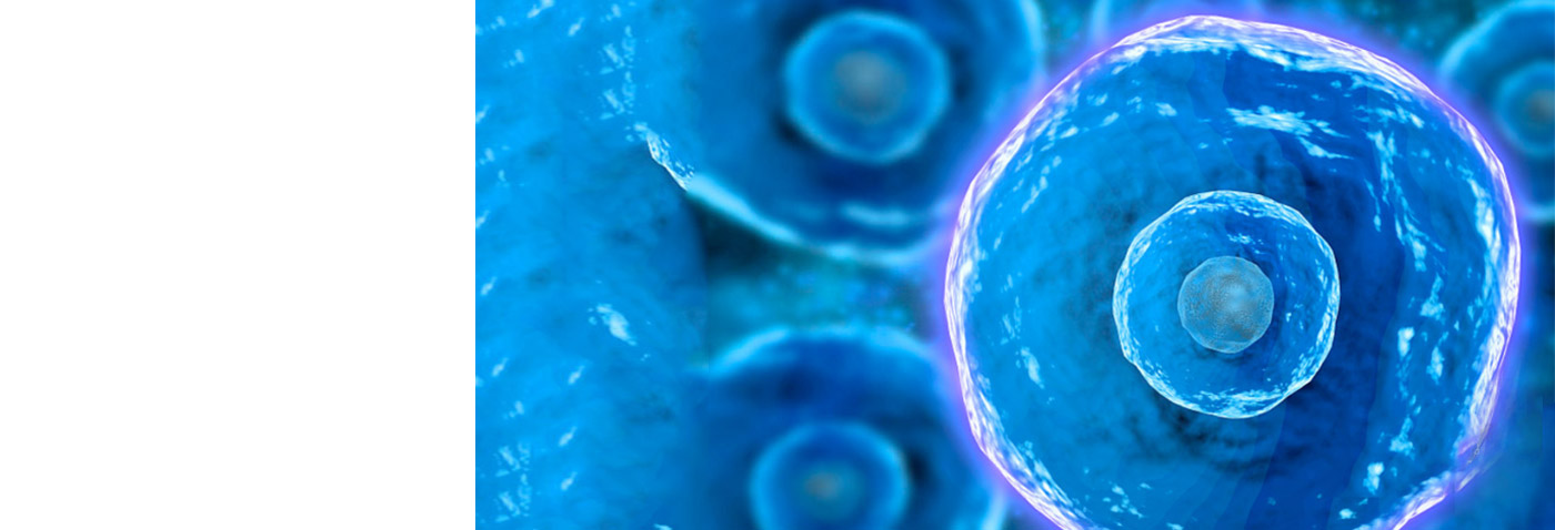 AG真人APP下载_AG真人·「中国」官方网站