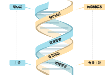AG真人APP下载_AG真人·「中国」官方网站