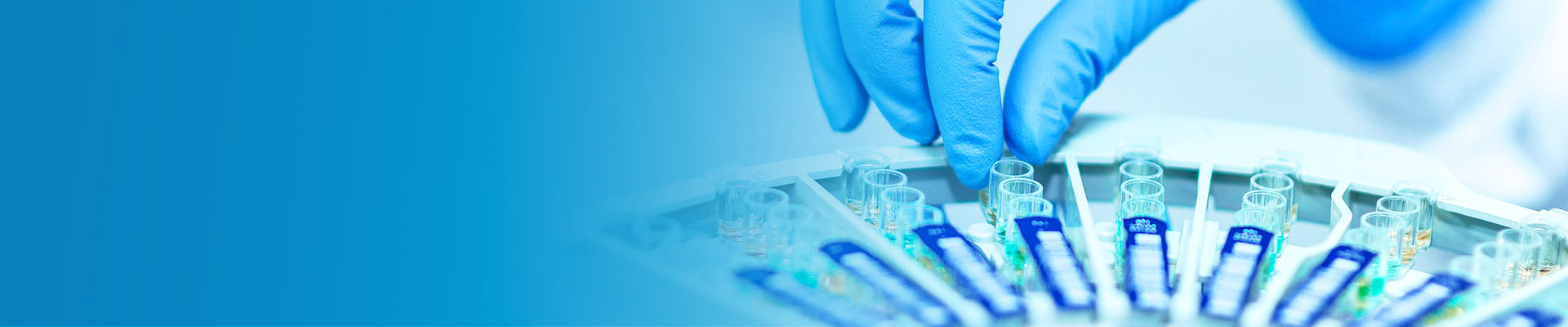 AG真人APP下载_AG真人·「中国」官方网站