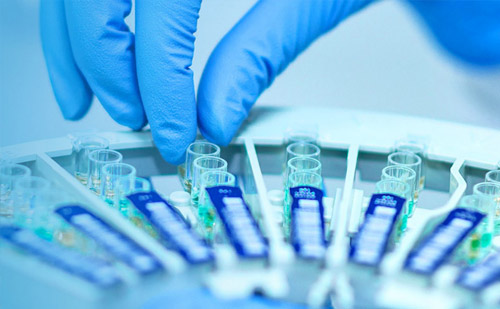 AG真人APP下载_AG真人·「中国」官方网站