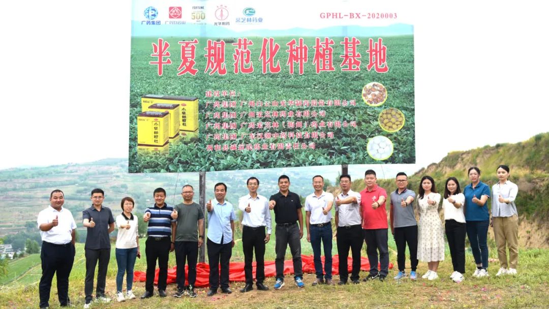 白云山优惠活动办理大厅公司实地调查调研中药材规范化基地